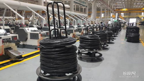 河北加快推進(jìn)縣域特色產(chǎn)業(yè)提質(zhì)升級(jí) 以螺栓產(chǎn)業(yè)為例，提升四個(gè)能力優(yōu)化產(chǎn)業(yè)生態(tài)